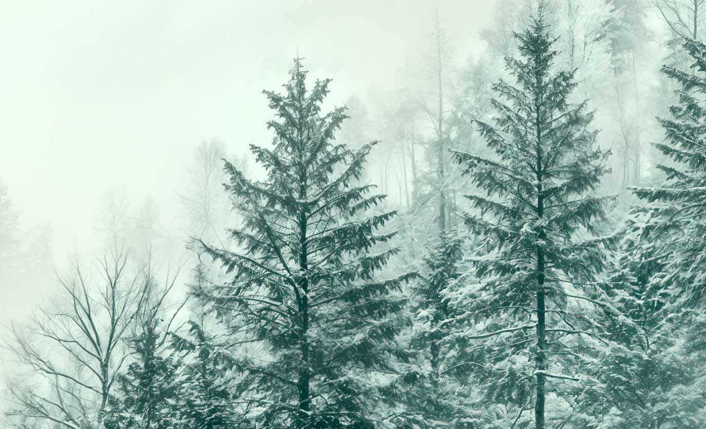 Fototapeta 500 &times; 260 cm po profesjonalnej obr&oacute;bce &ndash; wyraźny i naturalny efekt na ścianie